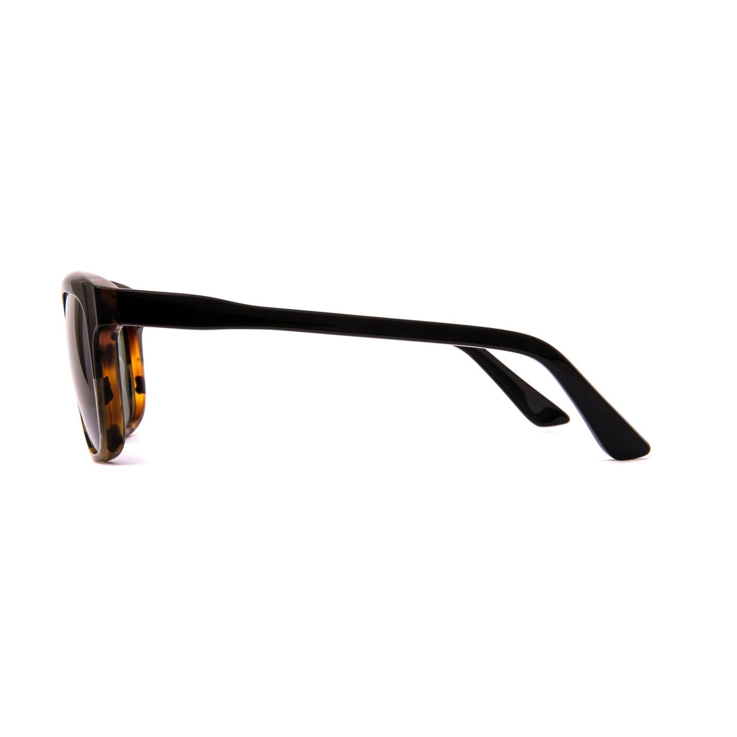 DOMHAN -HAVANA-(Sunglasses)